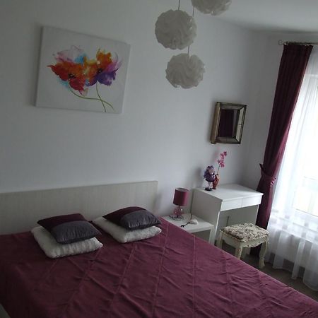 Anca Apartment Брашов Екстериор снимка