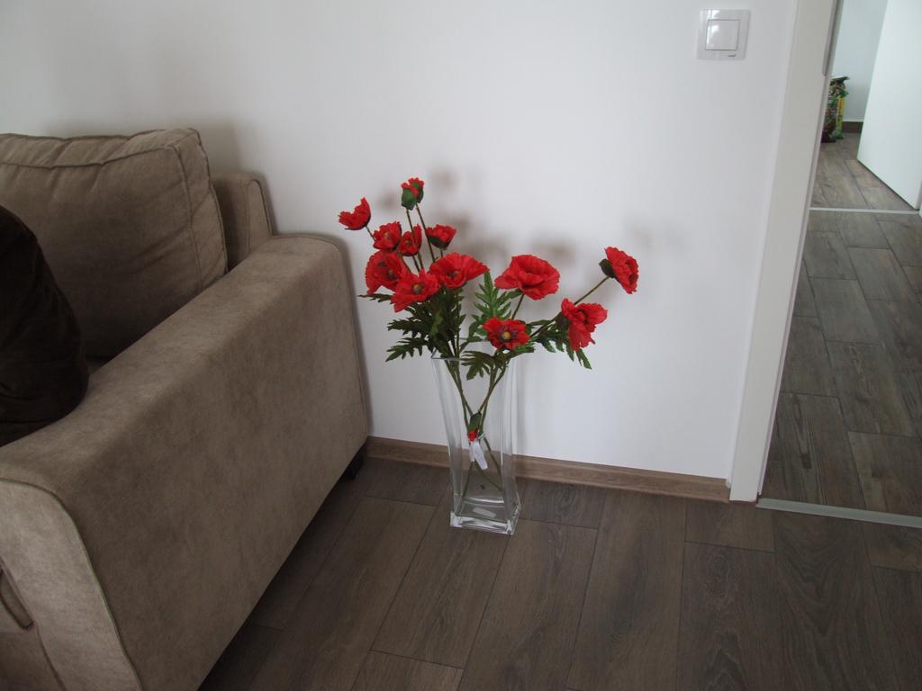 Anca Apartment Брашов Екстериор снимка