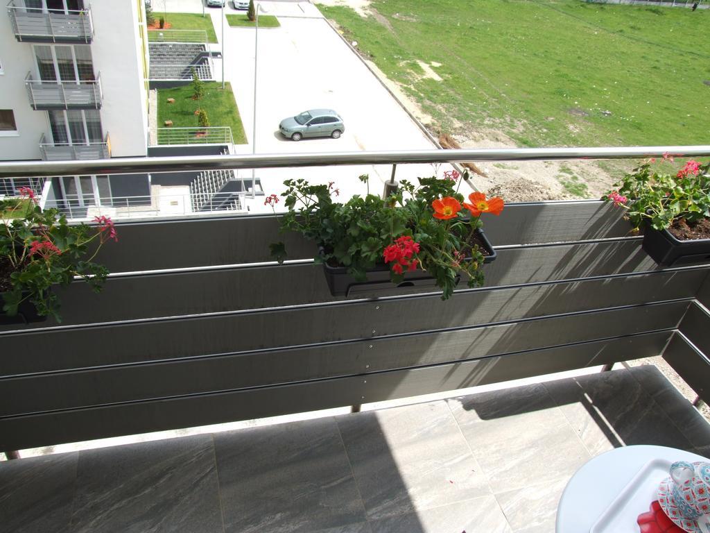 Anca Apartment Брашов Екстериор снимка