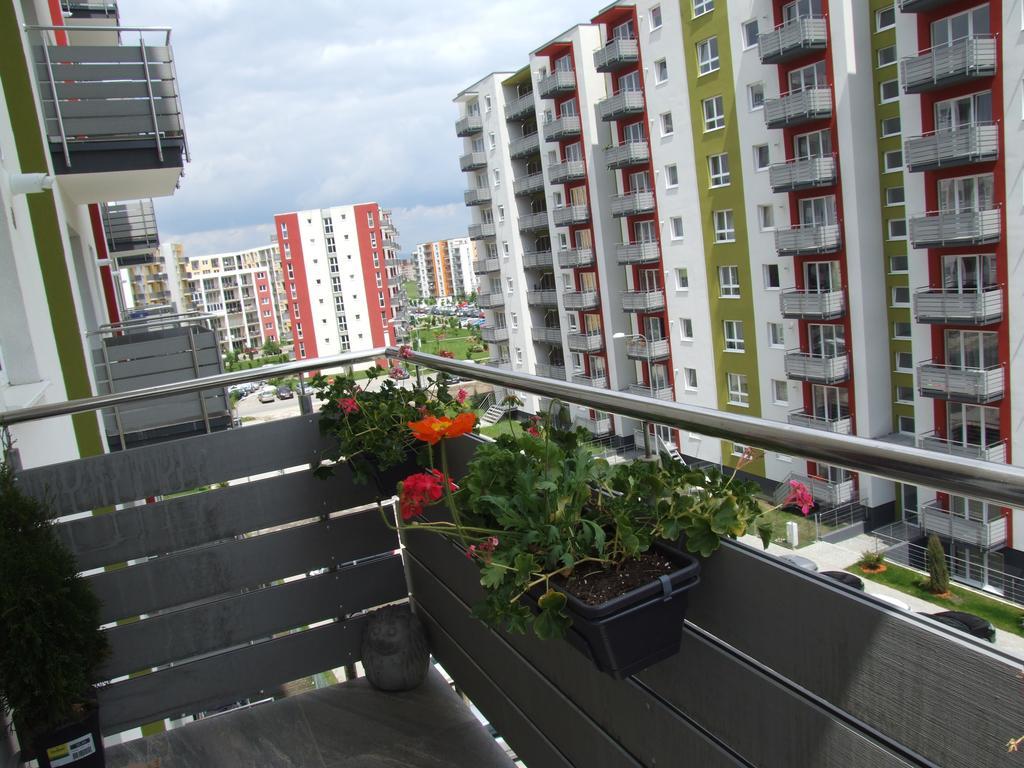 Anca Apartment Брашов Екстериор снимка
